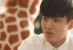 吴亦凡韩国爆料视频,娱乐圈背后的惊人真相