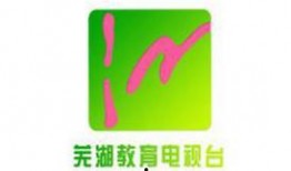 安徽频道在线直播观看,实时捕捉家乡精彩瞬间